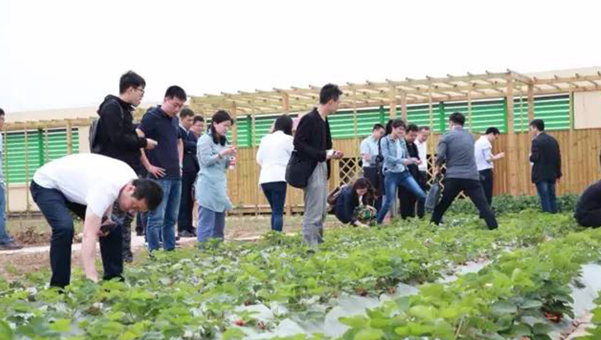 “2017年第五季室內設計-中國行”青島站 | 驚“天”動地,“鋒”起云涌 7 “2017年第五季室內設計-中國行”青島站 | 驚“天”動地,“鋒”起云涌 7