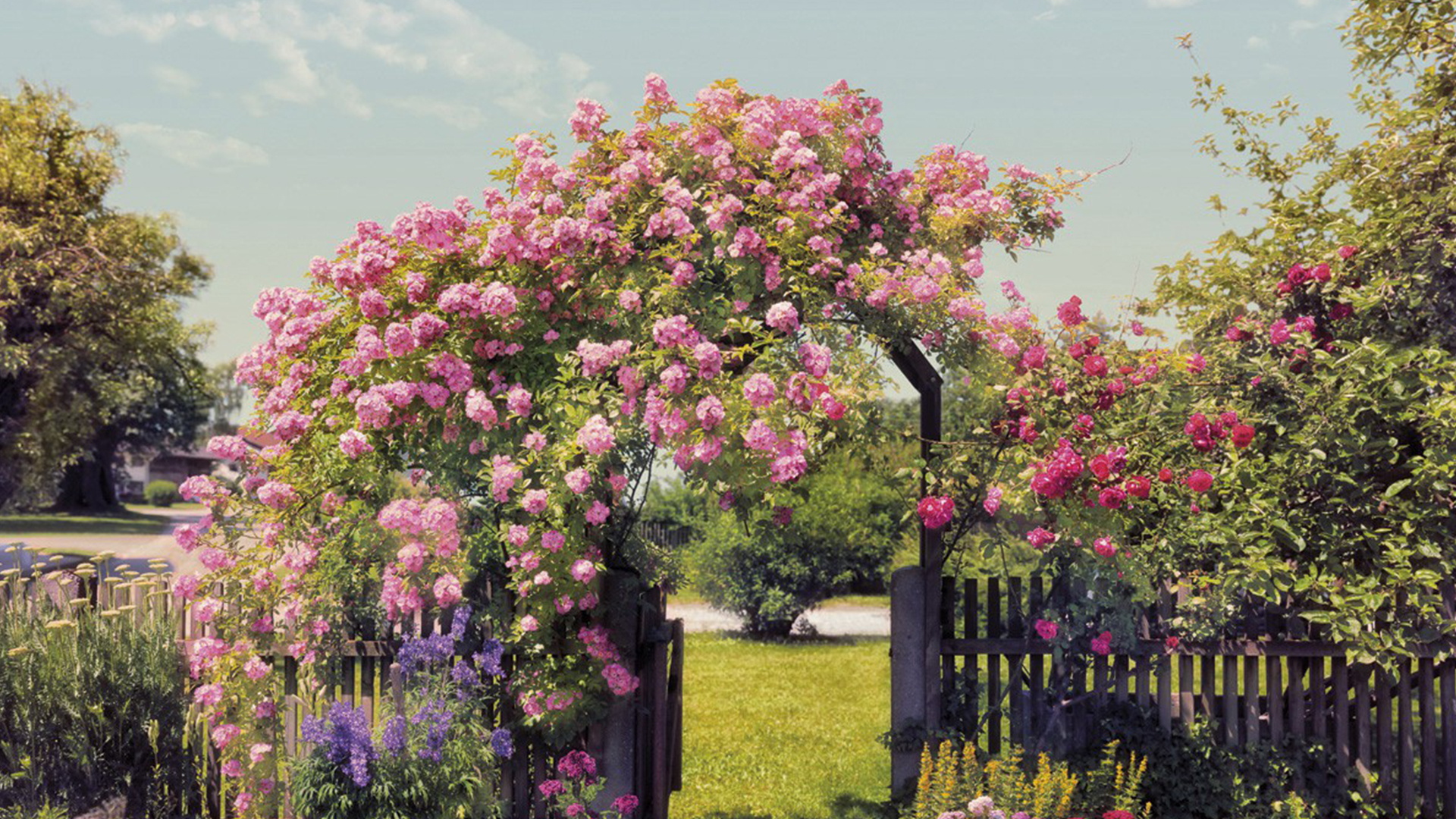 德國KOMAR藝術壁畫