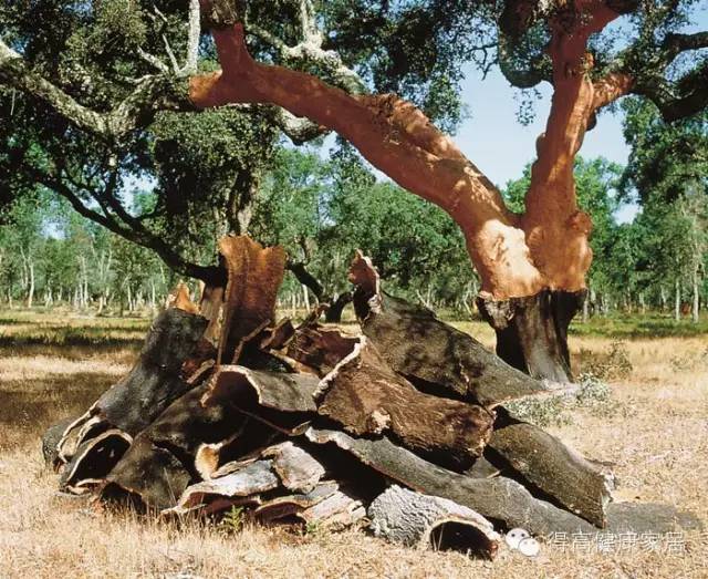 你可以永遠相信得高品質! image4 你可以永遠相信得高品質! image4