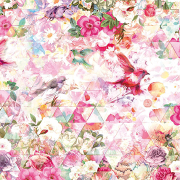 光影棱鏡XXL4-019