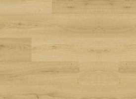 BLOOM,AVMPU40319,進(jìn)口地板